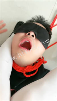 t0kg20yqyzy.jpg