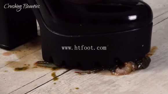zopvpfbb50l.jpg