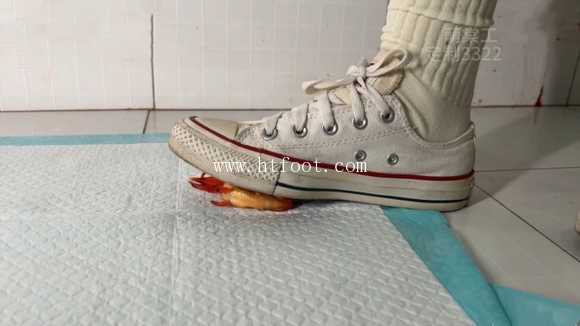 hqbas5d33lf.jpg