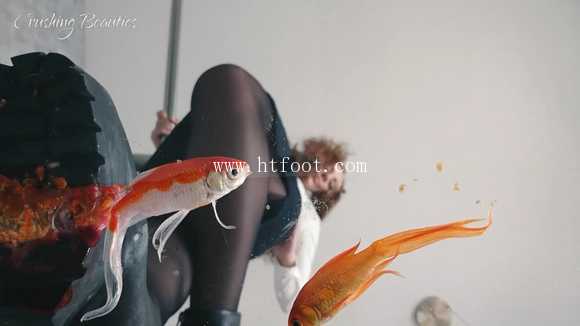 lkbv052lzt0.jpg
