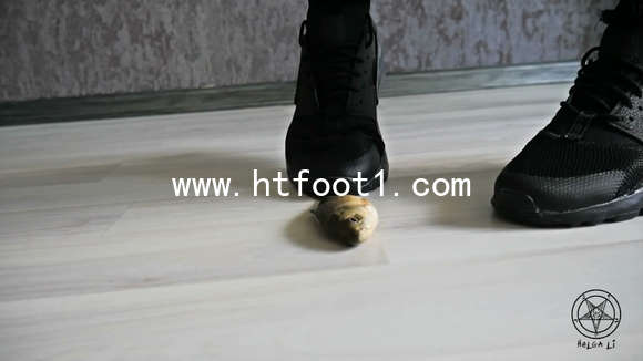 433jje10x3a.jpg