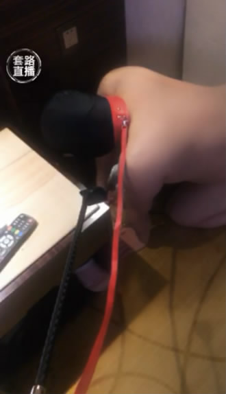 llekhiux31m.jpg