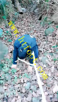 s2ywxskvewy.jpg