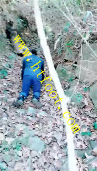 v1eyjlhicin.jpg