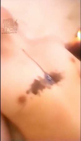 sg3bjfleaxp.jpg
