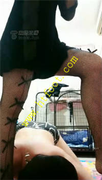 s3ttzl02mf1.jpg