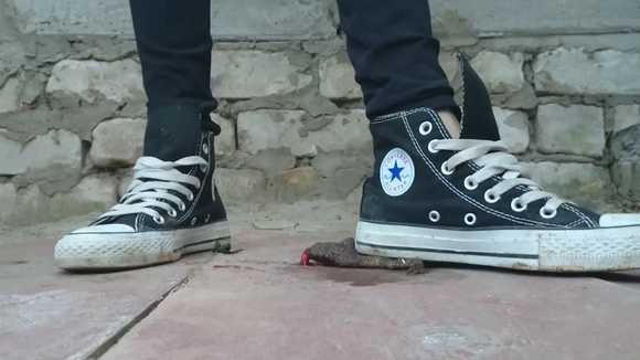 lfu45cgkhgz.jpg