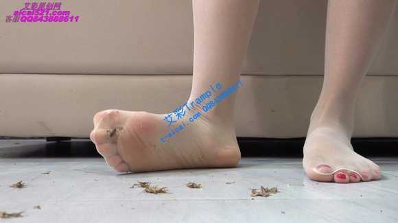 vtaws2l45bu.jpg