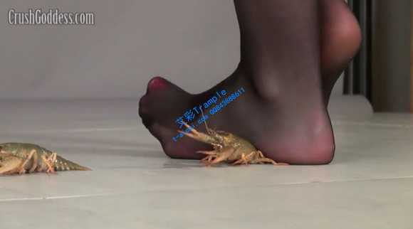 n0uzobmxwma.jpg