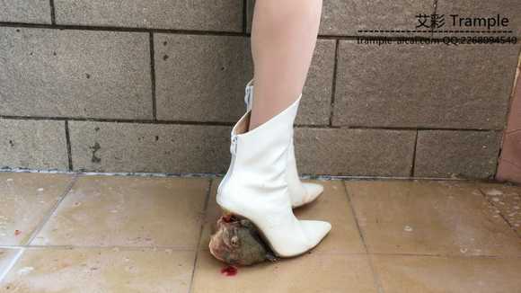 zytffjpvk5i.jpg
