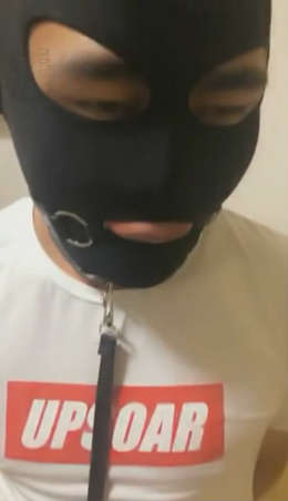niqnnl0b1vr.jpg