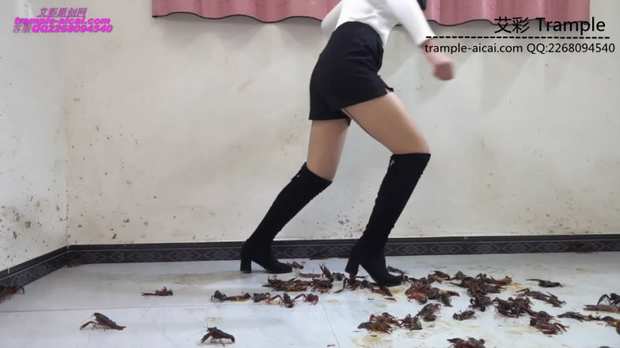 johvjqnol5h.jpg