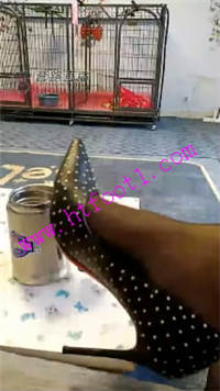 t3opnu4u24j.jpg