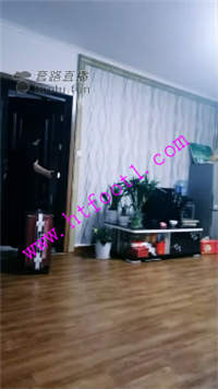 jvt2jd02a31.jpg