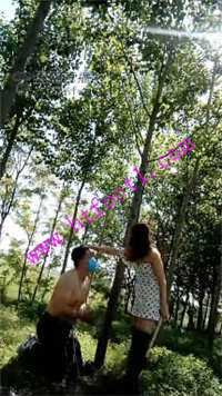 sk23bscmpbv.jpg
