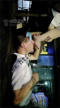 lxhboa0erez.jpg
