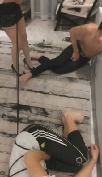 veesemgnmv3.jpg