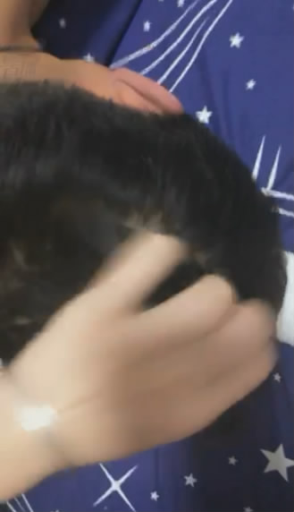 dogwnmif3em.jpg