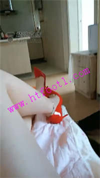 pfgnhpc0mv3.jpg