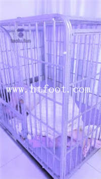 mbcwhhs3b5m.jpg