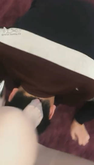 pk2gdab2en3.jpg