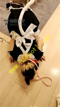 4zp21fo01pc.jpg