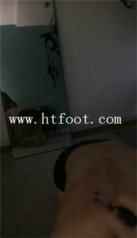 h04hxu4kw10.jpg