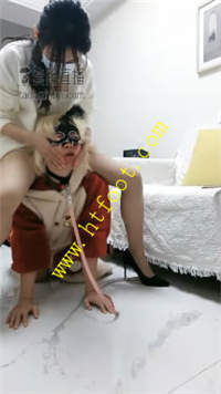 zteig14ywif.jpg