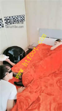 ce15qaoykvh.jpg