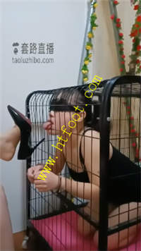 d0jvdbpq2im.jpg