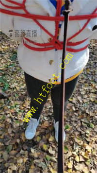 lkxz3uoepd5.jpg