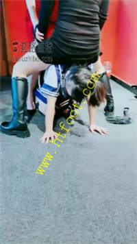 wpetlwzy5mm.jpg