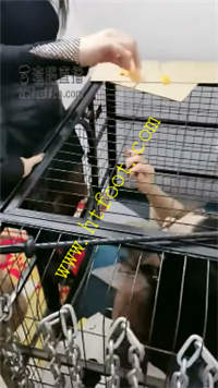 nyiw12wwzeb.jpg