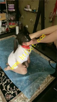 tinqzhlrevs.jpg