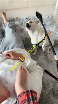 zapspxejbvk.jpg