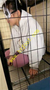 04hn34klz2l.jpg
