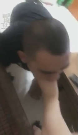 02thaplm15y.jpg