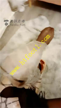 2uohcacuquz.jpg