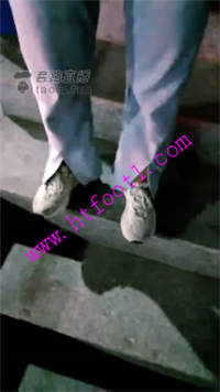 lnf4zq40pl5.jpg