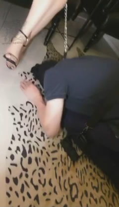 nddq0yj0j15.jpg