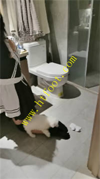 bfy4qhsqhx4.jpg