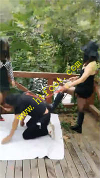 qskt25wxkzk.jpg