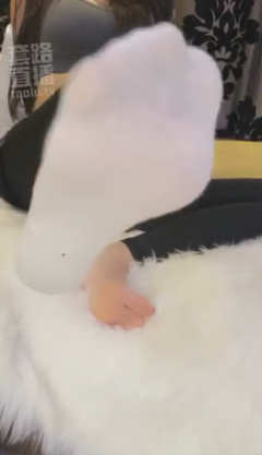 edfzuhl4adb.jpg