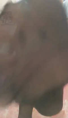 ngjic0pco2d.jpg