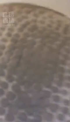 wqbgzqghfrq.jpg