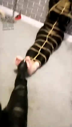 z5kmfgldjue.jpg