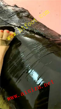 sgurmst5ers.jpg