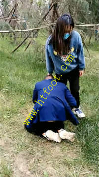 rhft2fyswyg.jpg
