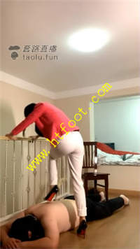 tsb2szdogzb.jpg