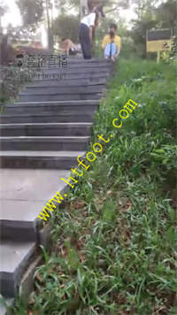 mv10hw5yb22.jpg